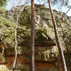 Dornstein Schlafender Löwe